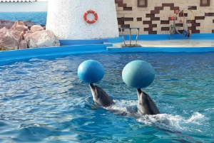 Dolphin World Agadir